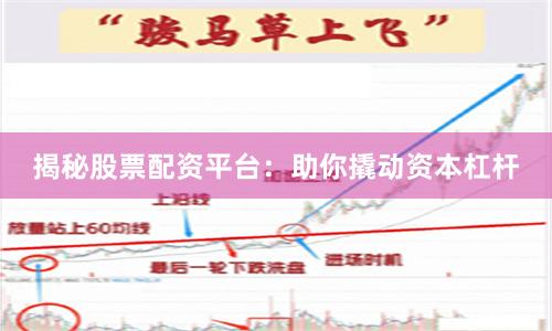 揭秘股票配资平台：助你撬动资本杠杆