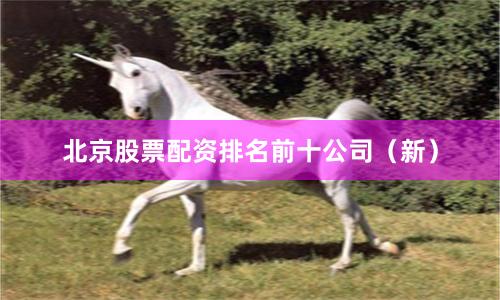 北京股票配资排名前十公司（新）